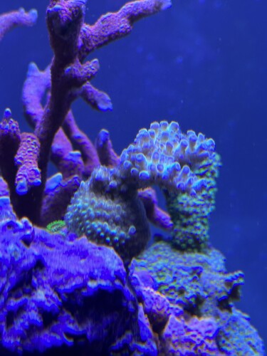 IMG_0708.jpeg