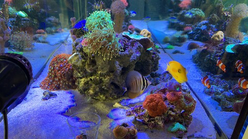 IMG_2928.jpeg