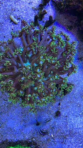 IMG_2918.jpeg