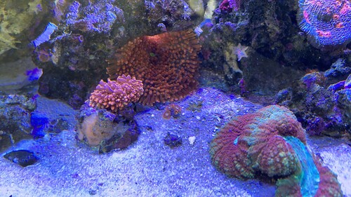 IMG_2913.jpeg