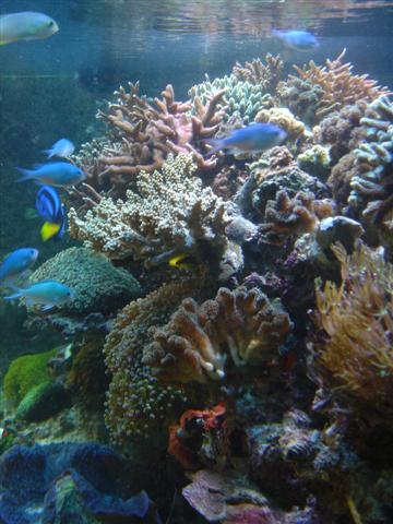DSC01412 (Small).JPG