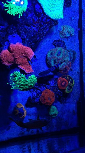 IMG_3039.jpeg