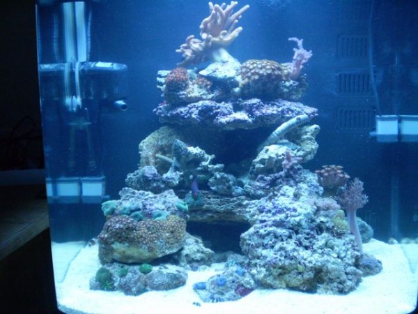 001 [640x480].JPG