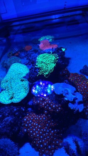 IMG_3163.jpeg