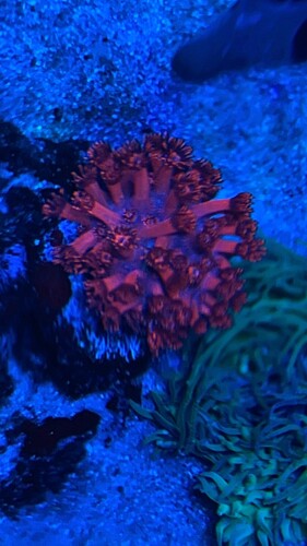 IMG_3154.jpeg