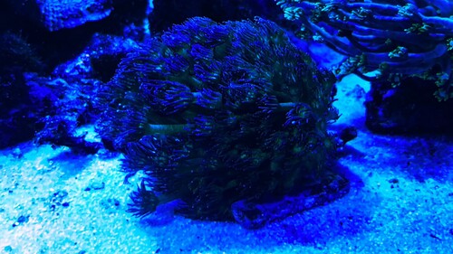 IMG_3140.jpeg