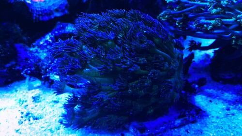 IMG_3136.jpeg