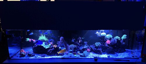 IMG_3189.jpeg