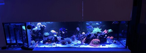 IMG_3190.jpeg