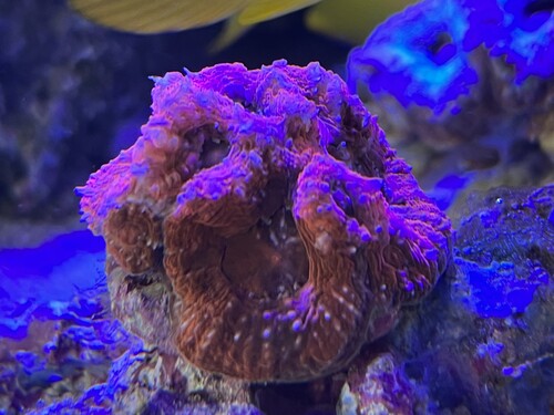 IMG_3268.jpeg