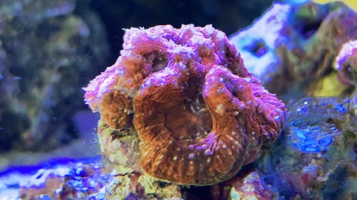 IMG_3269.jpeg