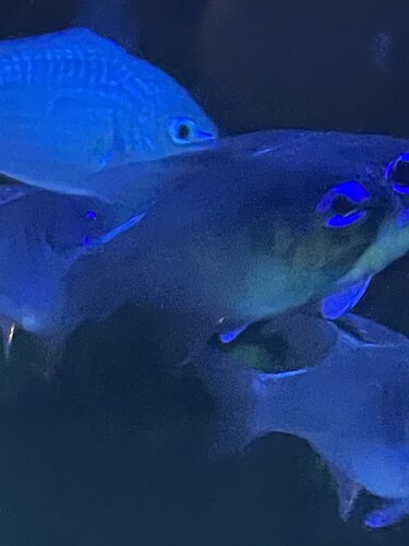 IMG_2846.jpeg