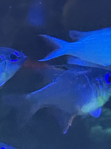 IMG_2847.jpeg