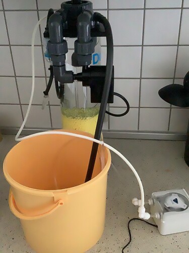Test and flushing