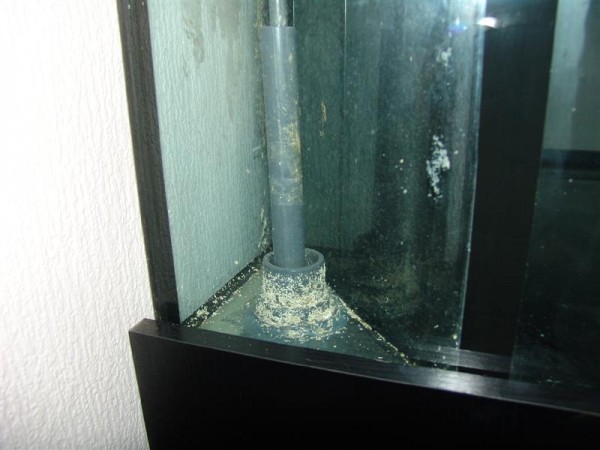 DSC04968 (Medium).JPG