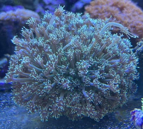 IMG_8711.jpeg