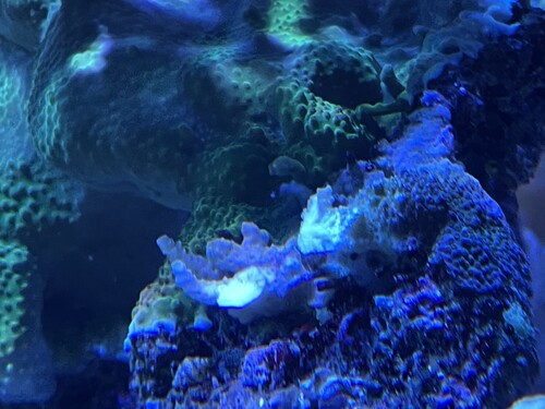 IMG_2955.jpeg