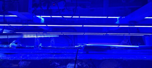 20231109_125043.jpg