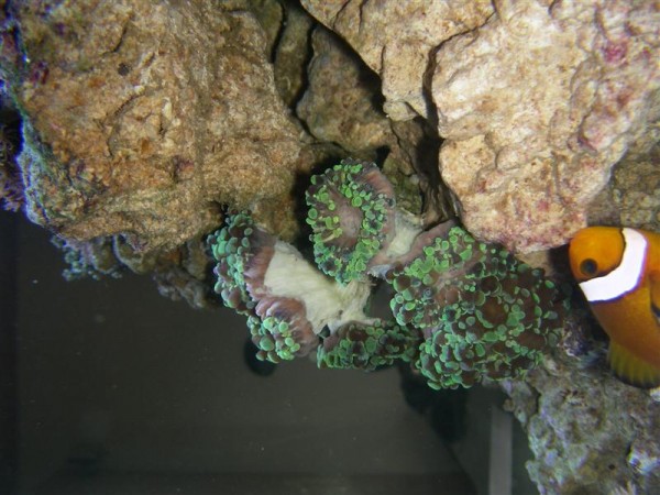 Juni08 011 (Medium).jpg