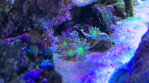 IMG_3677.jpeg