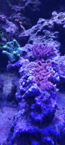 20231125_230657.jpg