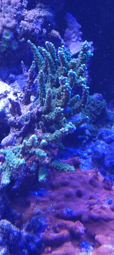20231125_230710.jpg