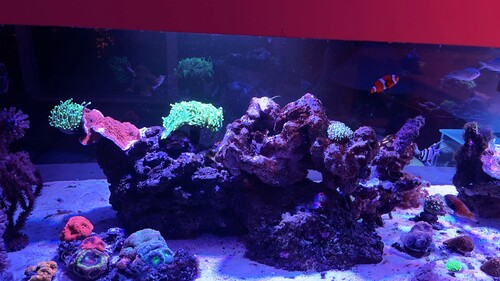 IMG_3818.jpeg