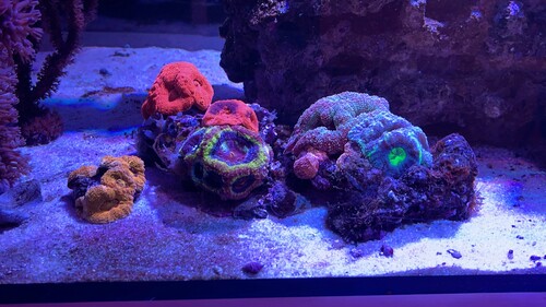 IMG_3817.jpeg