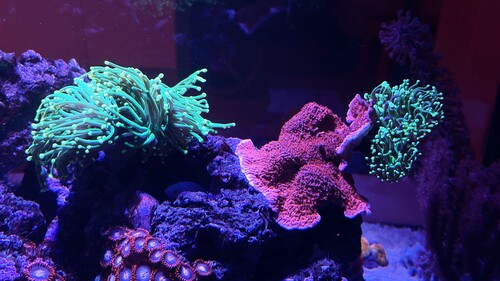 IMG_3815.jpeg