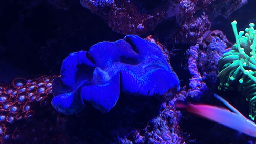 IMG_3813.jpeg