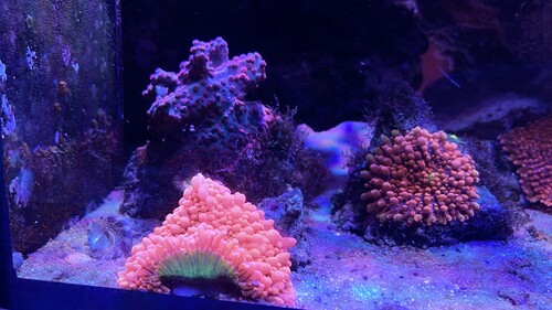 IMG_3806.jpeg