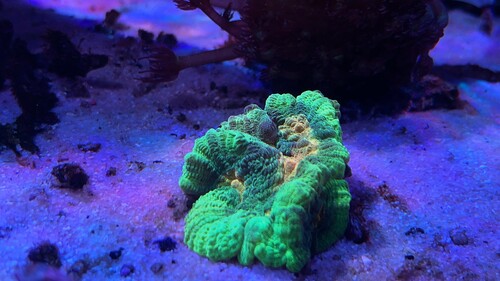IMG_3804.jpeg