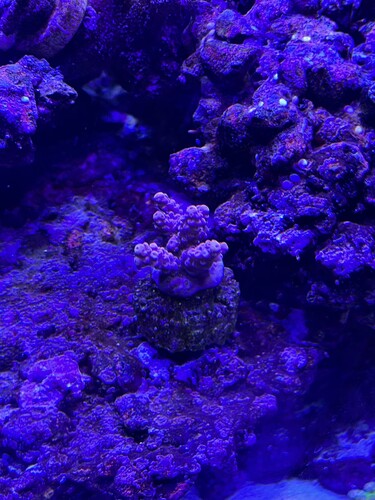 IMG_1301.jpeg
