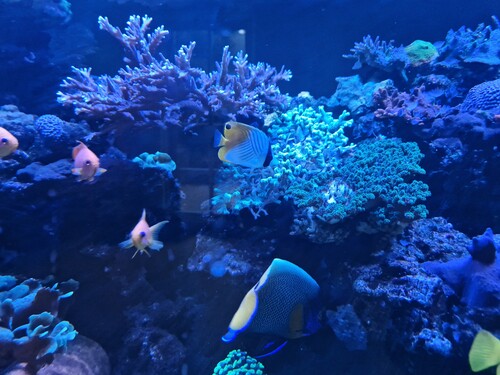 20231224_101558.jpg