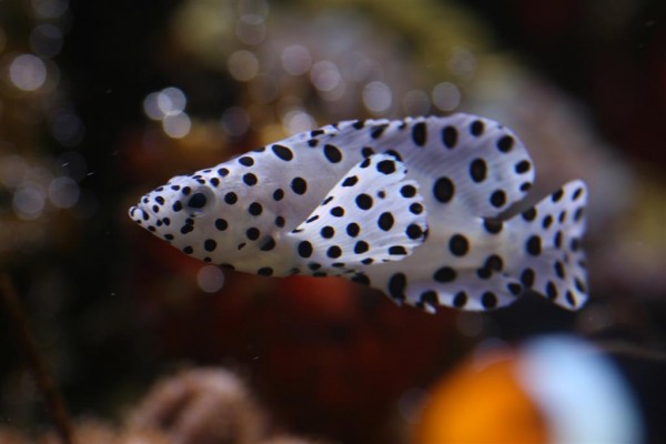 juni08 078 (Large).jpg