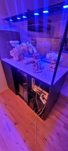 20231226_202451.jpg
