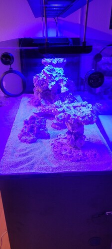 20231226_202557.jpg