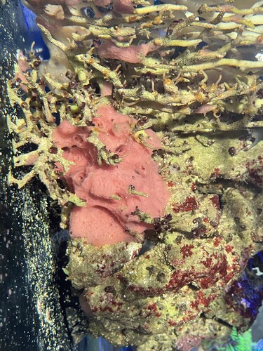 IMG_3103.jpeg (3.32 MiB) Vist 3552 gange Sv02