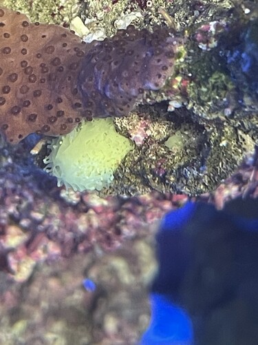 IMG_3104.jpeg (1.52 MiB) Vist 3552 gange Sv01