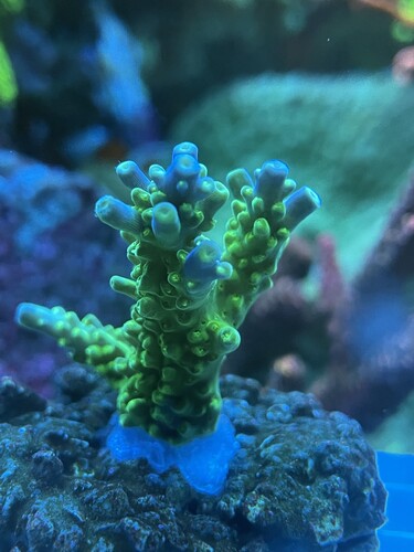 IMG_3085.jpeg (1.81 MiB) Vist 3552 gange 2s