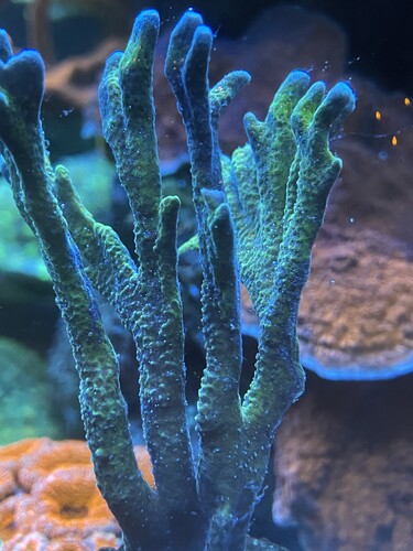 IMG_3086.jpeg (2.13 MiB) Vist 3552 gange 3s