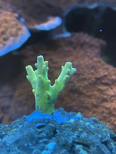 IMG_3087.jpeg (1.67 MiB) Vist 3552 gange 4s