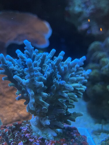 IMG_3088.jpeg (2.12 MiB) Vist 3552 gange 5s