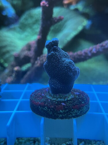 IMG_3089.jpeg (2.09 MiB) Vist 3552 gange 6s