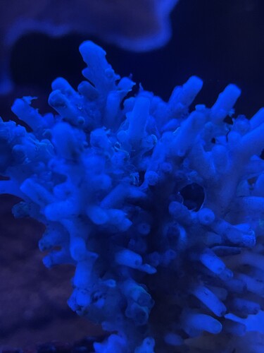 72561806325__555E44C3-1376-4C7C-8259-E9E27E96B862.jpeg (1.21 MiB) Vist 3552 gange Dead02