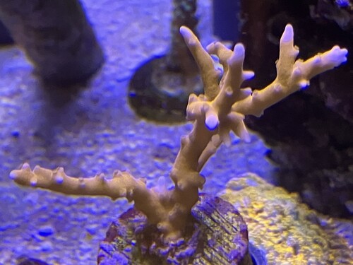 IMG_1545.jpeg