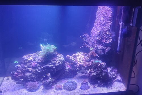 20240109_211131.jpg