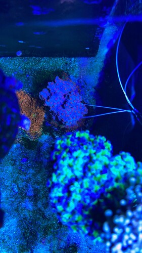 IMG_4060.jpeg