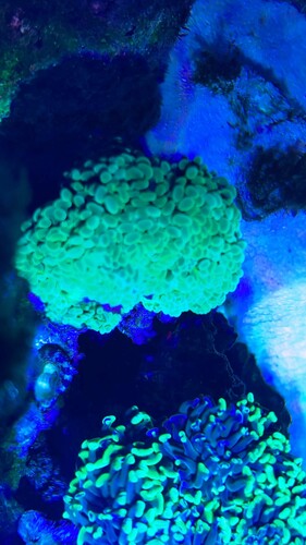 IMG_4057.jpeg