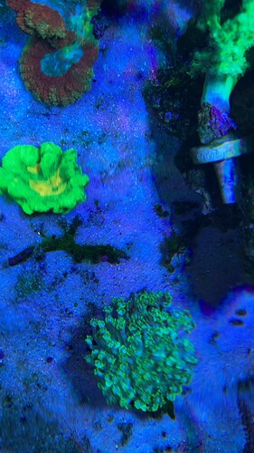 IMG_4047.jpeg